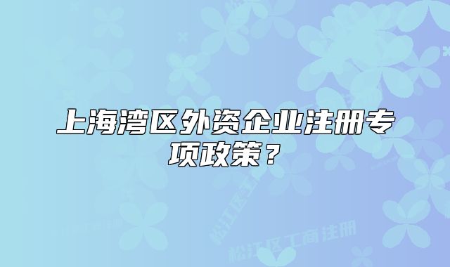上海灣區(qū)外資企業(yè)注冊專項政策？