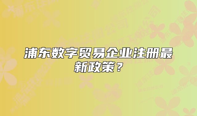 浦東數(shù)字貿(mào)易企業(yè)注冊(cè)最新政策？
