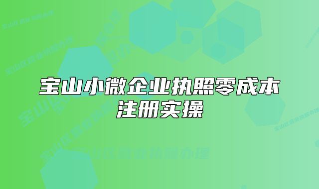 寶山小微企業(yè)執(zhí)照零成本注冊實操