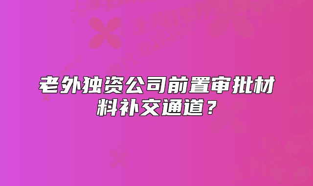 老外獨(dú)資公司前置審批材料補(bǔ)交通道？