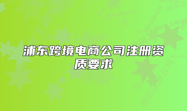 浦東跨境電商公司注冊(cè)資質(zhì)要求