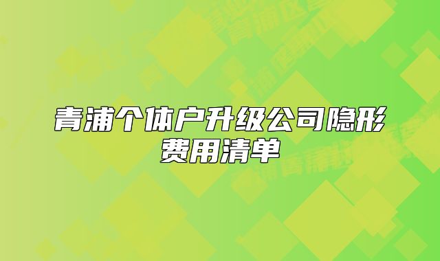 青浦個(gè)體戶升級(jí)公司隱形費(fèi)用清單