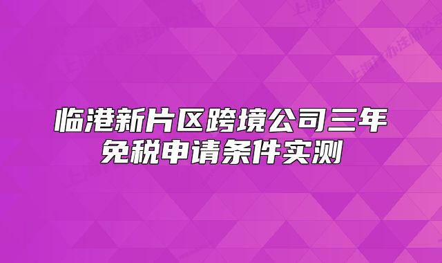 臨港新片區(qū)跨境公司三年免稅申請(qǐng)條件實(shí)測(cè)