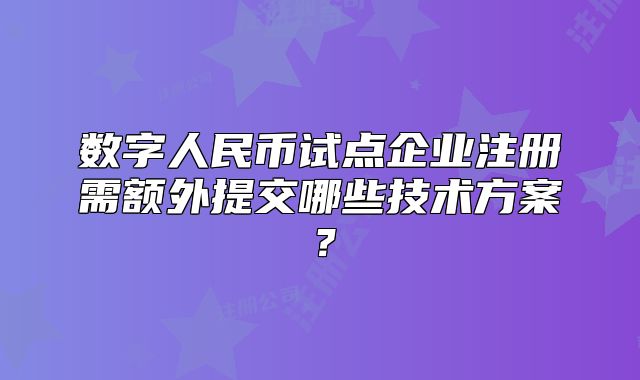 數(shù)字人民幣試點(diǎn)企業(yè)注冊(cè)需額外提交哪些技術(shù)方案？