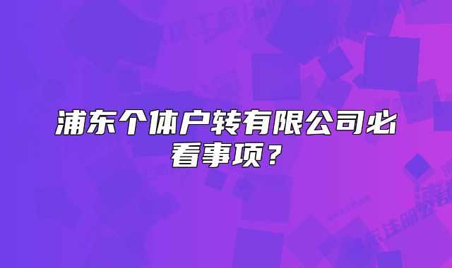 浦東個(gè)體戶轉(zhuǎn)有限公司必看事項(xiàng)？