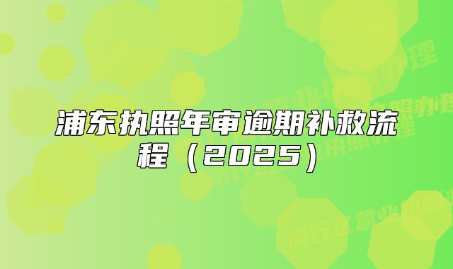 浦東執(zhí)照年審逾期補救流程（2025）