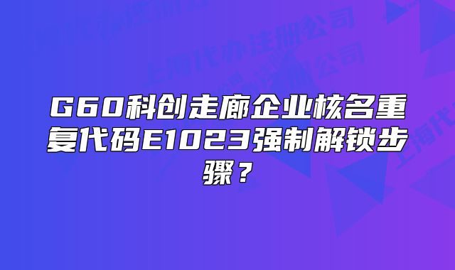 G60科創(chuàng)走廊企業(yè)核名重復(fù)代碼E1023強制解鎖步驟？