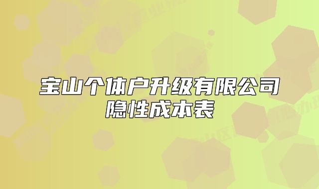 寶山個(gè)體戶升級(jí)有限公司隱性成本表