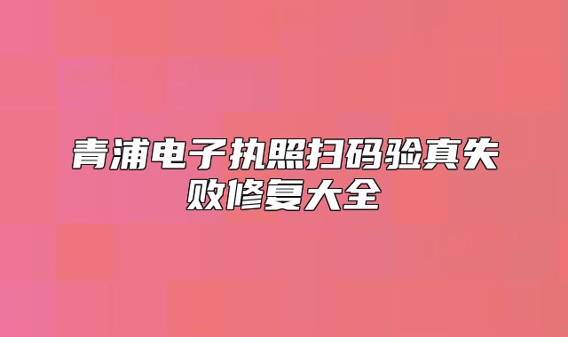青浦電子執(zhí)照掃碼驗(yàn)真失敗修復(fù)大全