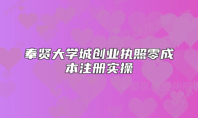奉賢大學(xué)城創(chuàng)業(yè)執(zhí)照零成本注冊(cè)實(shí)操