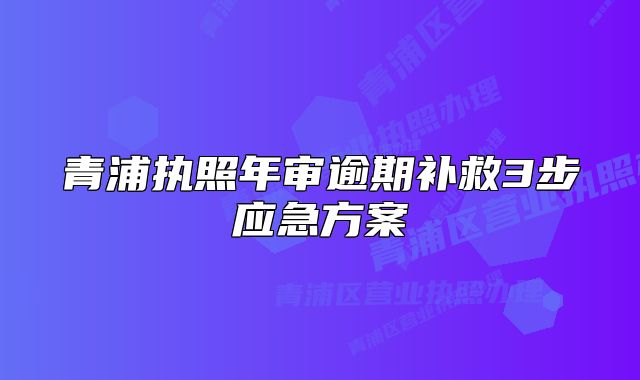 青浦執(zhí)照年審逾期補(bǔ)救3步應(yīng)急方案