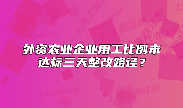 外資農(nóng)業(yè)企業(yè)用工比例未達標三天整改路徑？