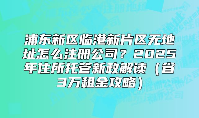 浦東新區(qū)臨港新片區(qū)無地址怎么注冊公司？2025新政解讀