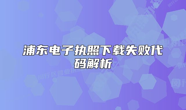 浦東電子執(zhí)照下載失敗代碼解析
