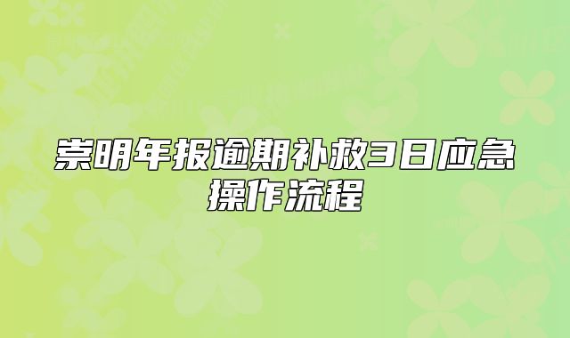 崇明年報(bào)逾期補(bǔ)救3日應(yīng)急操作流程