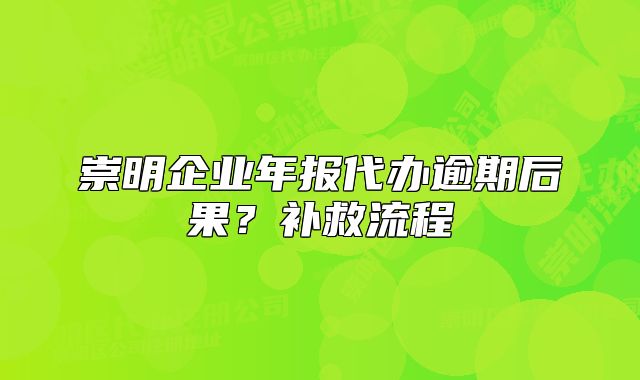 崇明企業(yè)年報代辦逾期后果？補救流程