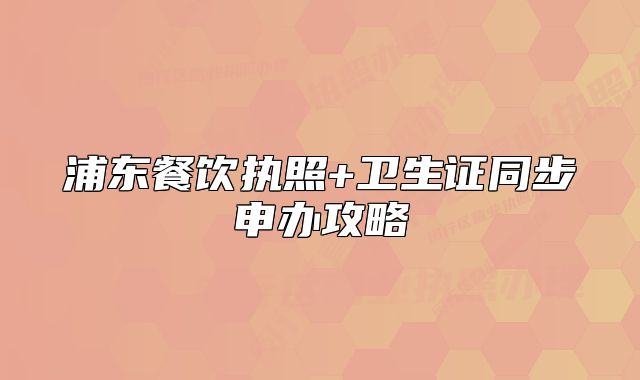 浦東餐飲執(zhí)照+衛(wèi)生證同步申辦攻略
