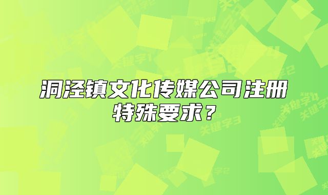 洞涇鎮(zhèn)文化傳媒公司注冊特殊要求？