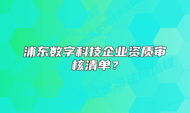 浦東數(shù)字科技企業(yè)資質(zhì)審核清單？