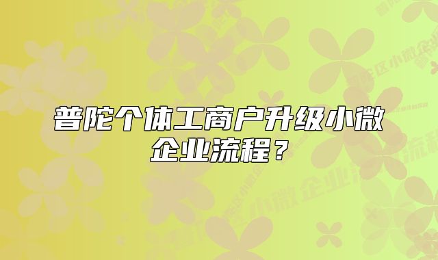 普陀個體工商戶升級小微企業(yè)流程？