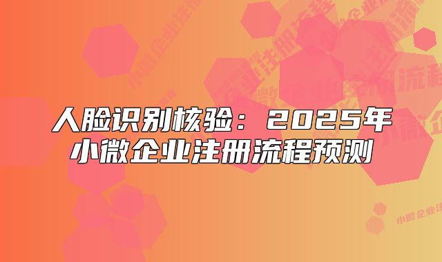 人臉識別核驗(yàn):2025年小微企業(yè)注冊流程預(yù)測