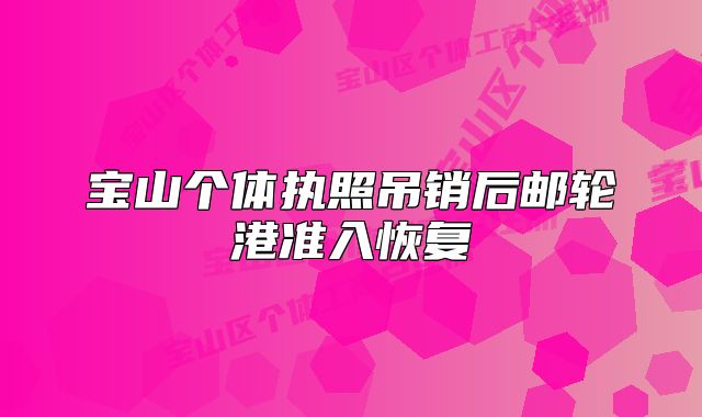 寶山個(gè)體執(zhí)照吊銷后郵輪港準(zhǔn)入恢復(fù)