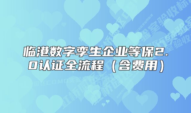 臨港數(shù)字孿生企業(yè)等保2.0認證全流程（含費用）