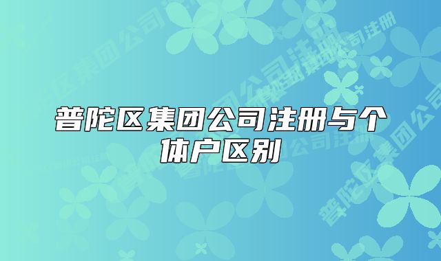 普陀區(qū)集團公司注冊與個體戶區(qū)別