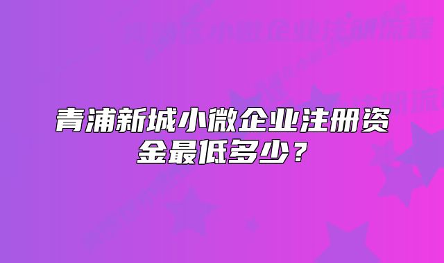青浦新城小微企業(yè)注冊資金最低多少？