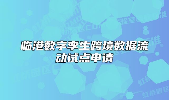 臨港數(shù)字孿生跨境數(shù)據(jù)流動(dòng)試點(diǎn)申請(qǐng)
