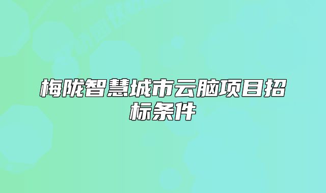 梅隴智慧城市云腦項(xiàng)目招標(biāo)條件