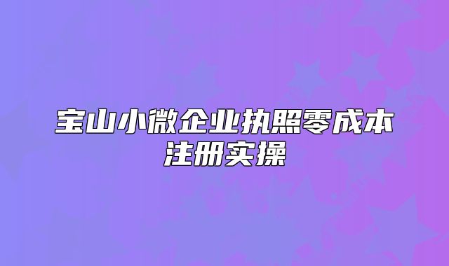 寶山小微企業(yè)執(zhí)照零成本注冊實(shí)操