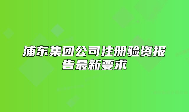 浦東集團(tuán)公司注冊(cè)驗(yàn)資報(bào)告最新要求