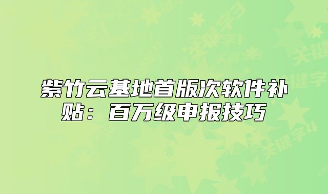 紫竹云基地首版次軟件補貼：百萬級申報技巧