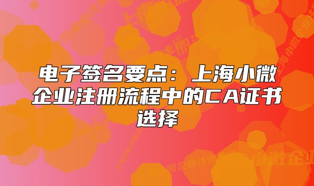 電子簽名要點(diǎn)：上海小微企業(yè)注冊(cè)流程中的CA證書選擇