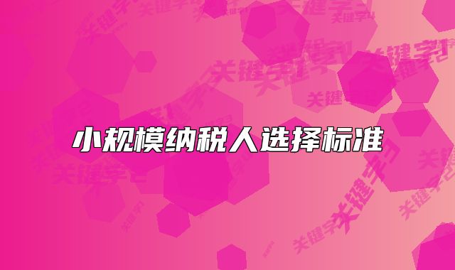 小規(guī)模納稅人選擇標準