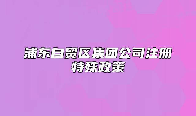 浦東自貿(mào)區(qū)集團(tuán)公司注冊(cè)特殊政策