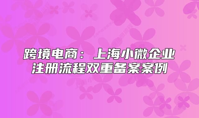 跨境電商：上海小微企業(yè)注冊(cè)流程雙重備案案例