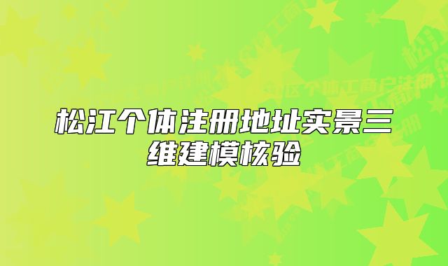 松江個(gè)體注冊(cè)地址實(shí)景三維建模核驗(yàn)