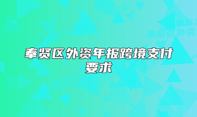 奉賢區(qū)外資年報跨境支付要求