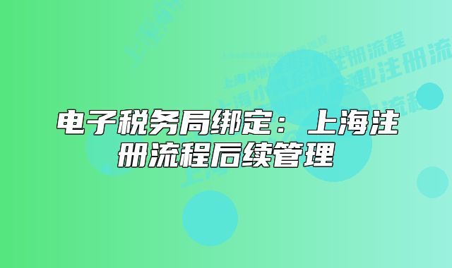 電子稅務(wù)局綁定：上海注冊流程后續(xù)管理