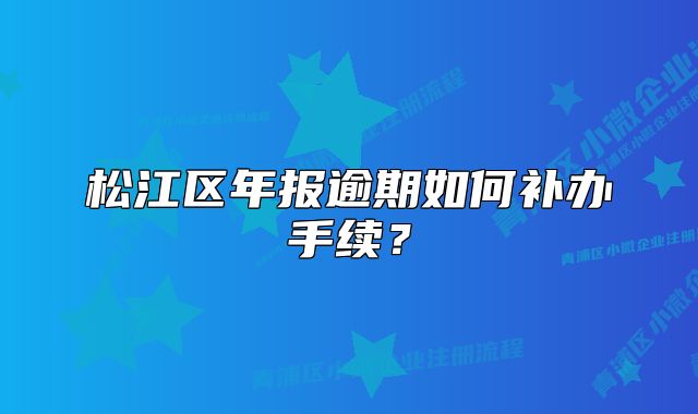 松江區(qū)年報(bào)逾期如何補(bǔ)辦手續(xù)？