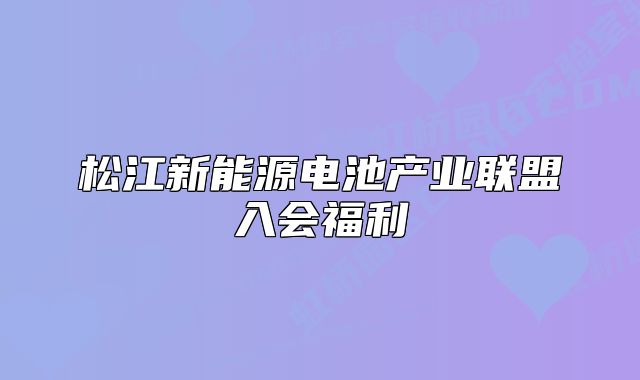 松江新能源電池產(chǎn)業(yè)聯(lián)盟入會福利