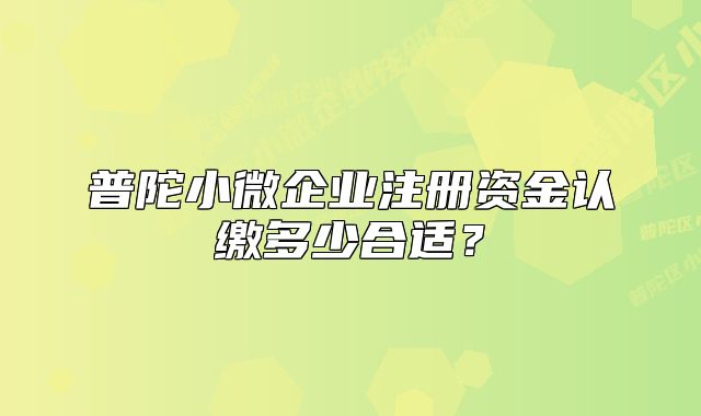 普陀小微企業(yè)注冊(cè)資金認(rèn)繳多少合適？