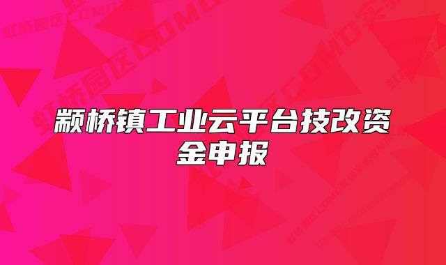 顓橋鎮(zhèn)工業(yè)云平臺技改資金申報
