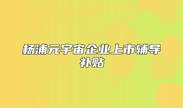 楊浦元宇宙企業(yè)上市輔導(dǎo)補(bǔ)貼