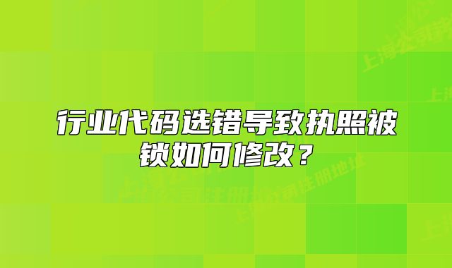 行業(yè)代碼選錯導致執(zhí)照被鎖如何修改？