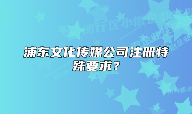 浦東文化傳媒公司注冊特殊要求？