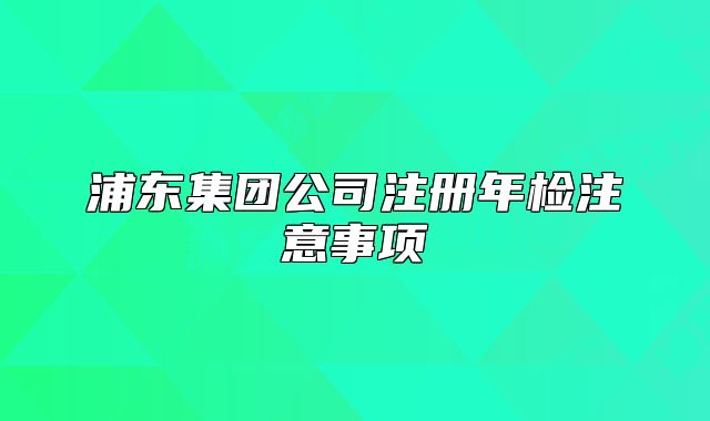 浦東集團(tuán)公司注冊(cè)年檢注意事項(xiàng)
