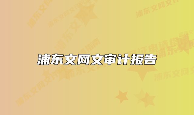 浦東文網(wǎng)文審計報告